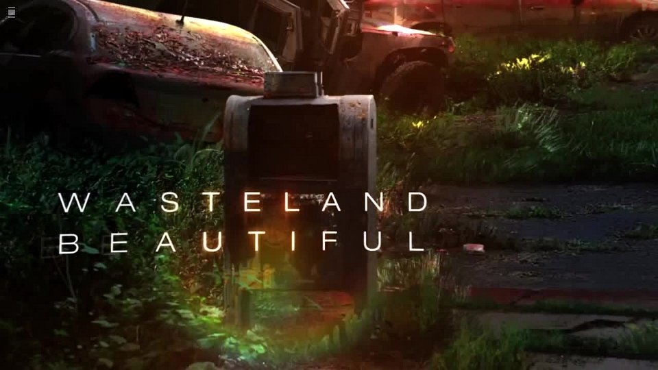 13 TheLastofUs WastBeautiful